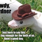 White Snake Cowboy | Howdy, pardner; Just here to say this town is big enough for the both of us. 
Have a good day. | image tagged in white,snake,snakes,cowboy,cowboy wisdom,friends | made w/ Imgflip meme maker
