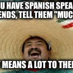 It really does. | IF YOU HAVE SPANISH SPEAKING FRIENDS, TELL THEM "MUCHO"; IT MEANS A LOT TO THEM. | image tagged in mexican word of the day,spanish,mucho | made w/ Imgflip meme maker