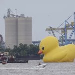 Big Duck
