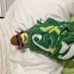 Weasel off duty