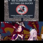 I'm confused as heck about that sign. | image tagged in gifs,sign,duck | made w/ Imgflip video-to-gif maker