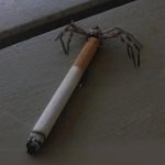 smoking spider