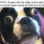 "SHE'S BEEN KIDNAPPED" | POV: 8-year old me after mom said she'd come back home at 8:00 but it's 8:30 | image tagged in eyes wide open terrier,funny,memes,relatable,childhood,unsettled | made w/ Imgflip meme maker