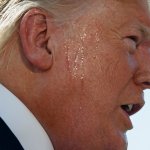 Sweaty Trump Profile