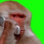Monkey on green screen GIF Template