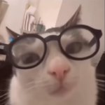 Erm... X actually is equal to Y... not Z!