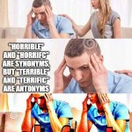 This is terrible | "HORRIBLE" AND "HORRIFC" ARE SYNONYMS, BUT "TERRIBLE" AND "TERRIFIC" ARE ANTONYMS | image tagged in honey tell me what's wrong,english is a stupid language | made w/ Imgflip meme maker