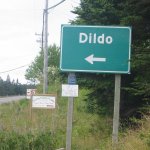 Dildo template