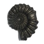 Black shell