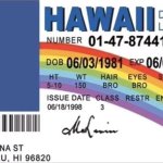 hawai drivers license