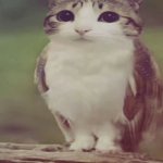 hdjxh