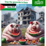 Pictures: Palestine, Gaza, Jerusalem. الصور: فلسطين، غزة، القدس.