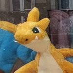 Special needs charizard