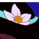 Princess Jasmine's Flower