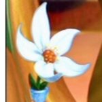 Jasmine's Flower