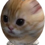 egg gatito | eg | image tagged in egg gatito | made w/ Imgflip meme maker