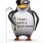 I hope I catch a good meme | image tagged in i hope i catch a good meme | made w/ Imgflip meme maker