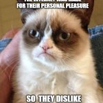 internet was made for only you? | WHEN THEY THINK THE INTERNET WAS MADE FOR THEIR PERSONAL PLEASURE; SO  THEY DISLIKE A VIDEO THEY DONT LIKE | image tagged in memes,grumpy cat | made w/ Imgflip meme maker