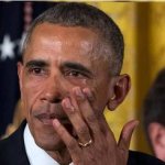obammy sniff test