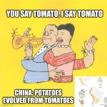Potatoes evolved from tomatoes | YOU SAY TOMATO, I SAY TOMATO; CHINA: POTATOES EVOLVED FROM TOMATOES | image tagged in you say tomato i say tomato ella and louis | made w/ Imgflip meme maker