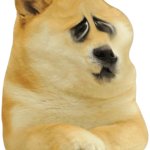 sad doggo :( template