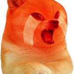 mad and sad doggo >:(