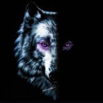 Lone wolf