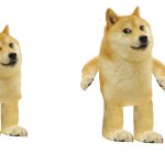 libomination template