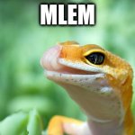 Lizard | MLEM | image tagged in lizard | made w/ Imgflip meme maker