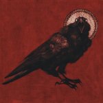 The Crow Wants to Know