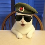 Cat Militer