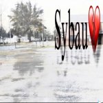 Sybaubanp