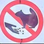 No squirels