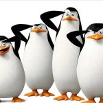 the silly penguin