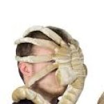 Face Hugger Aliens