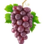 The Grapes of Forgetfulness meme