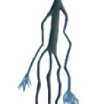 Cryptid