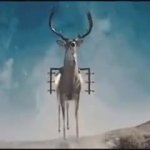 Ae GIF Template