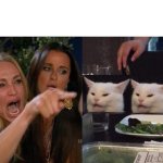 Yelling at the cats
