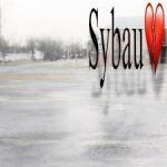 Sybau