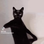 june is poop GIF Template