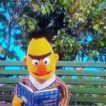 Bert jacking off to Fifty Shades of Oatmeal