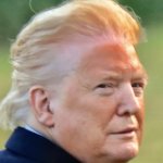 Trump makeup line