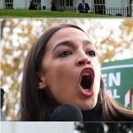 Trump Roof AOC 2