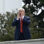 Trump on the roof meme