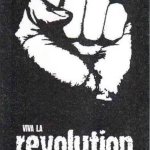 Hobie Revolution