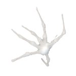 White spider