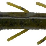 Stick insect
