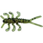 Bubbled-Feet Cricker