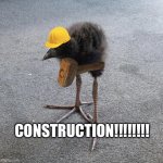 Pukeko chick | CONSTRUCTION!!!!!!!! | image tagged in pukeko chick | made w/ Imgflip meme maker